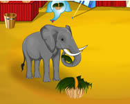 Elephant circus nevelde jtkok ingyen