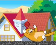 Playful Kitty nevelde HTML5 jtk