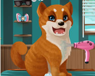 nevelde - Become a puppy groomer