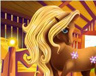 Fairy pony caring adventure nevelde HTML5 jtk